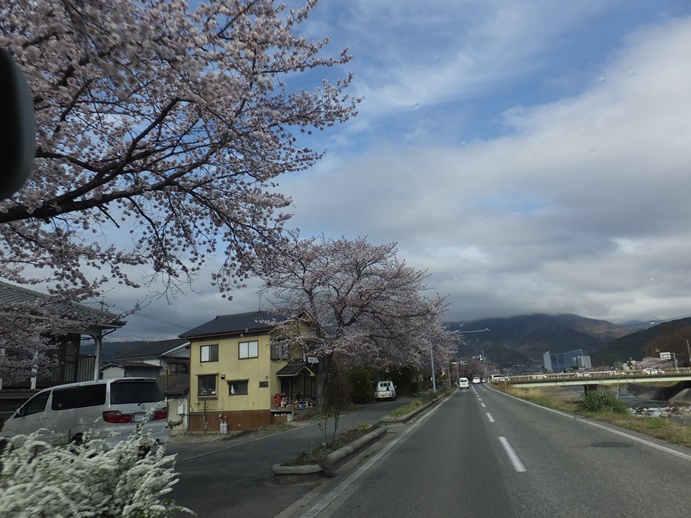 新築記念樹　～松本市～