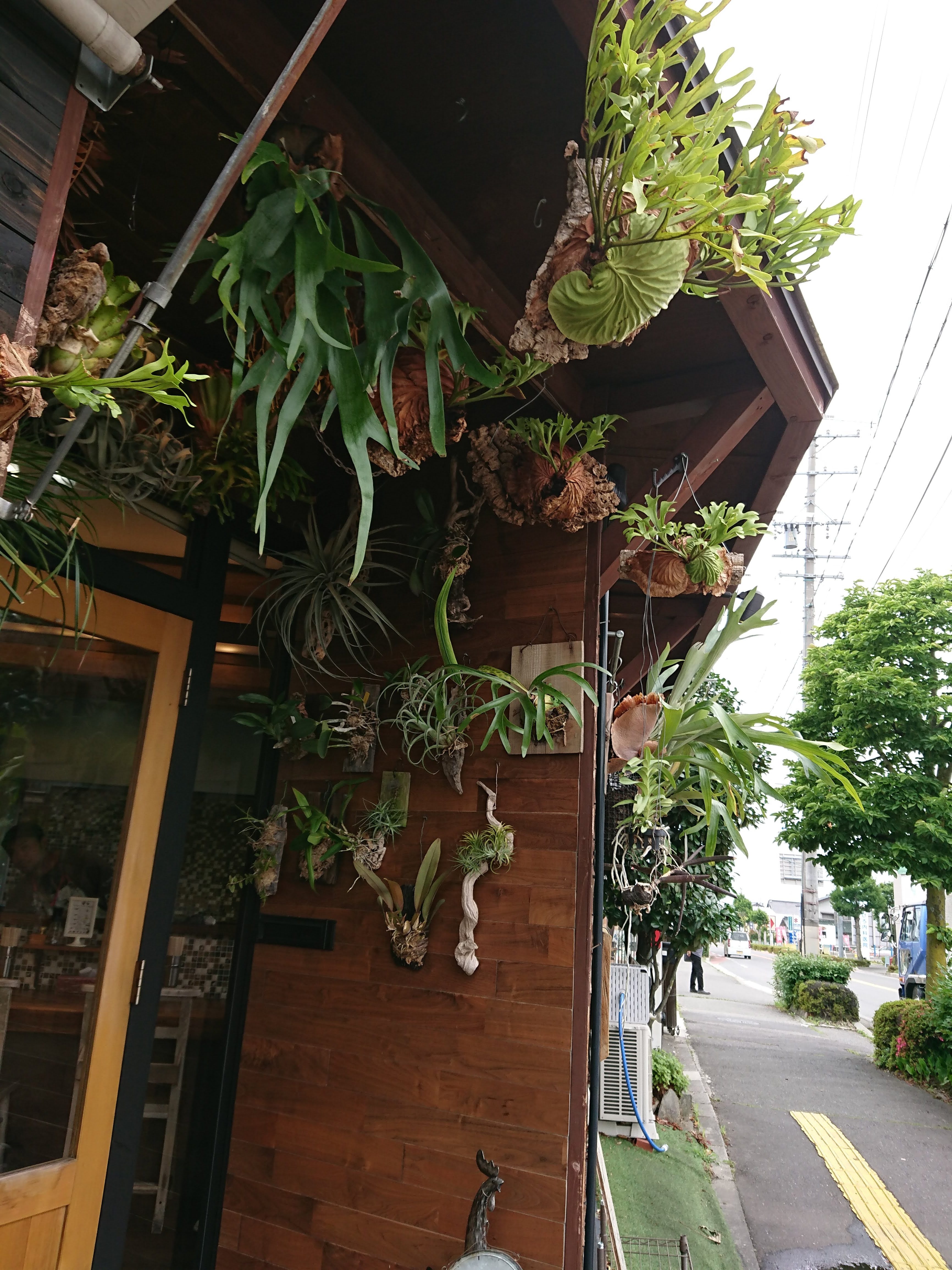 松本でランチを逃しそうになっても安心の店【ラーメン屋　がったぼうず】