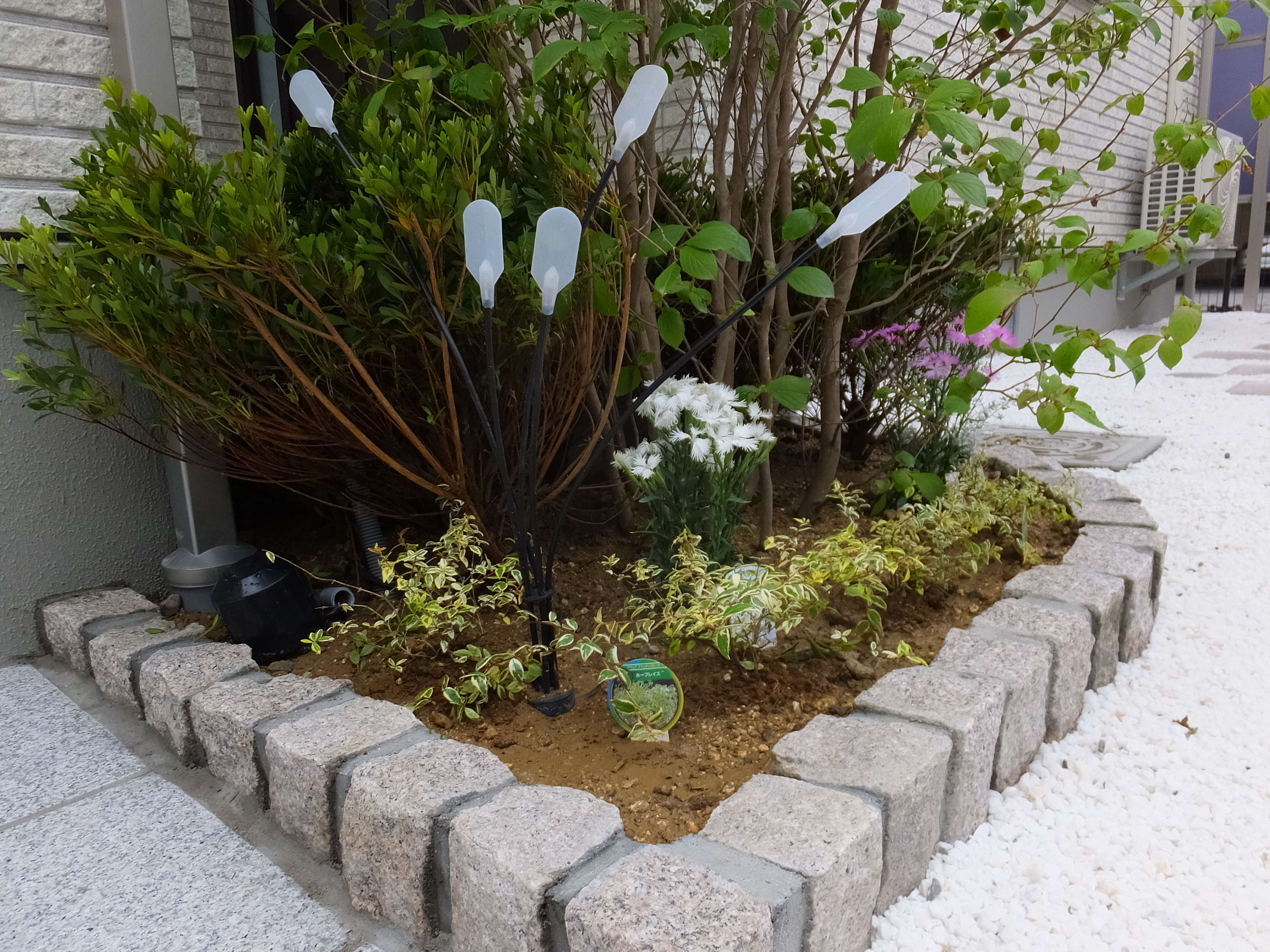 狭い庭 極小庭をおしゃれに工夫した施工例 松本市のエクステリア外構工事のプレックスガーデン