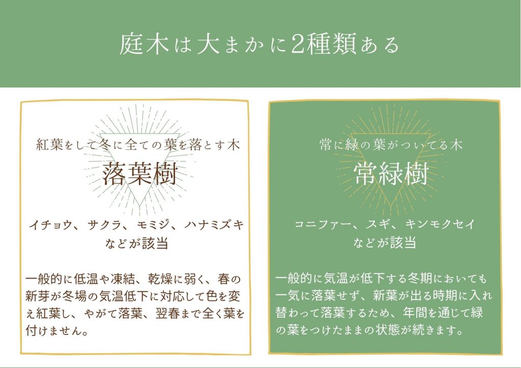 庭木を植える際に知っておきたい基本まとめ①