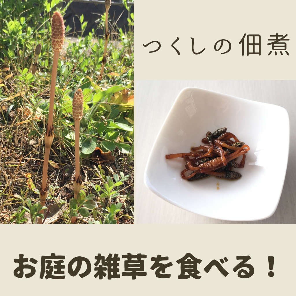 庭の雑草を食べる！つくし編