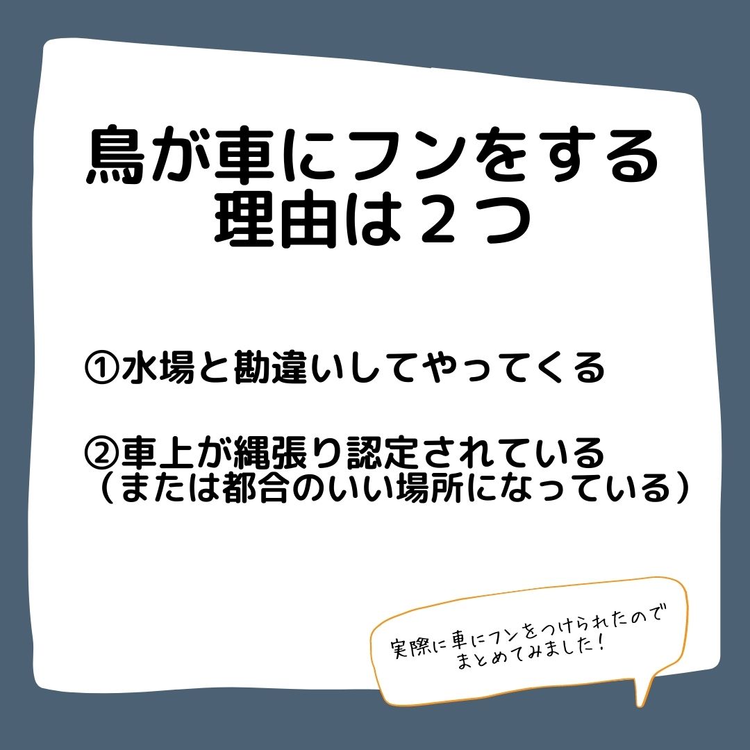 閲覧注意 車に鳥のフン 落とされる理由は二つある フンをされやすい車とは 松本市のエクステリア外構工事のプレックスガーデン