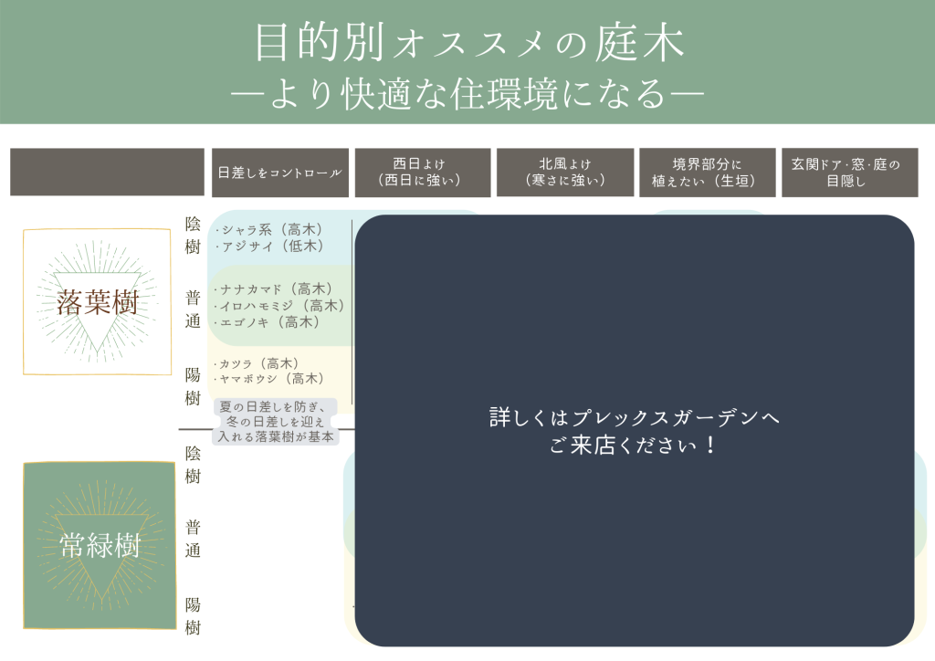 【オススメ庭木特集】日差しをコントロールする庭木編