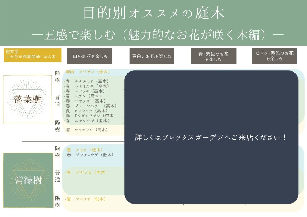 【オススメ庭木特集】魅力的なお花が咲く庭木編