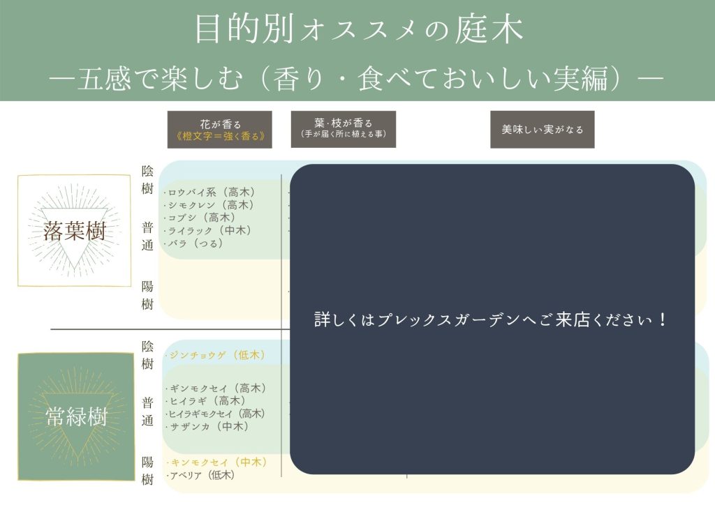 【オススメ庭木特集】良い香りがする庭木編