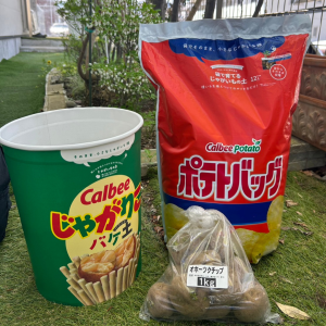 【プレックスガーデンの日常】じゃがいもを植えました！　Part2