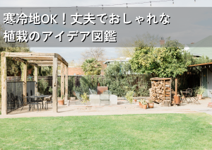 寒冷地OK！丈夫でおしゃれな植栽のアイデア図鑑